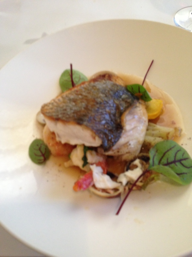 Mulloway  fish on a bed of clams and prawns